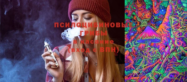 apvp Елабуга