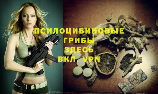 МДМА Елизово
