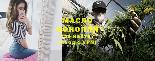 меф Дмитриев