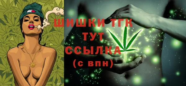 apvp Елабуга