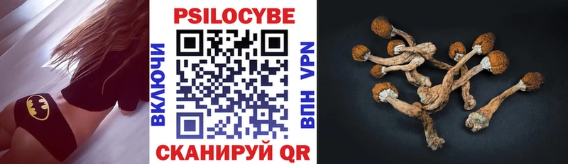 Галлюциногенные грибы Psilocybine cubensis  Купить где  Подпорожье 